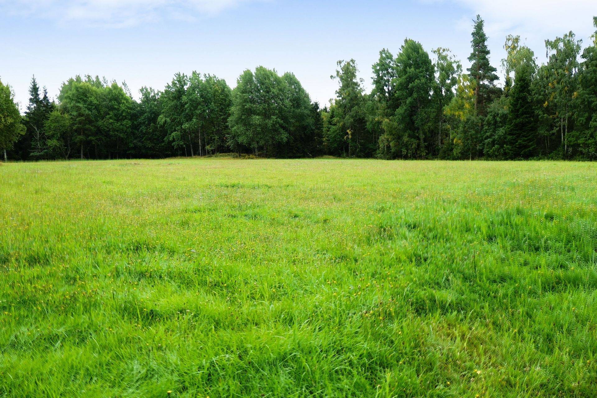 Gård/skog på Galneryd 1 Hjo kommun - bild 14