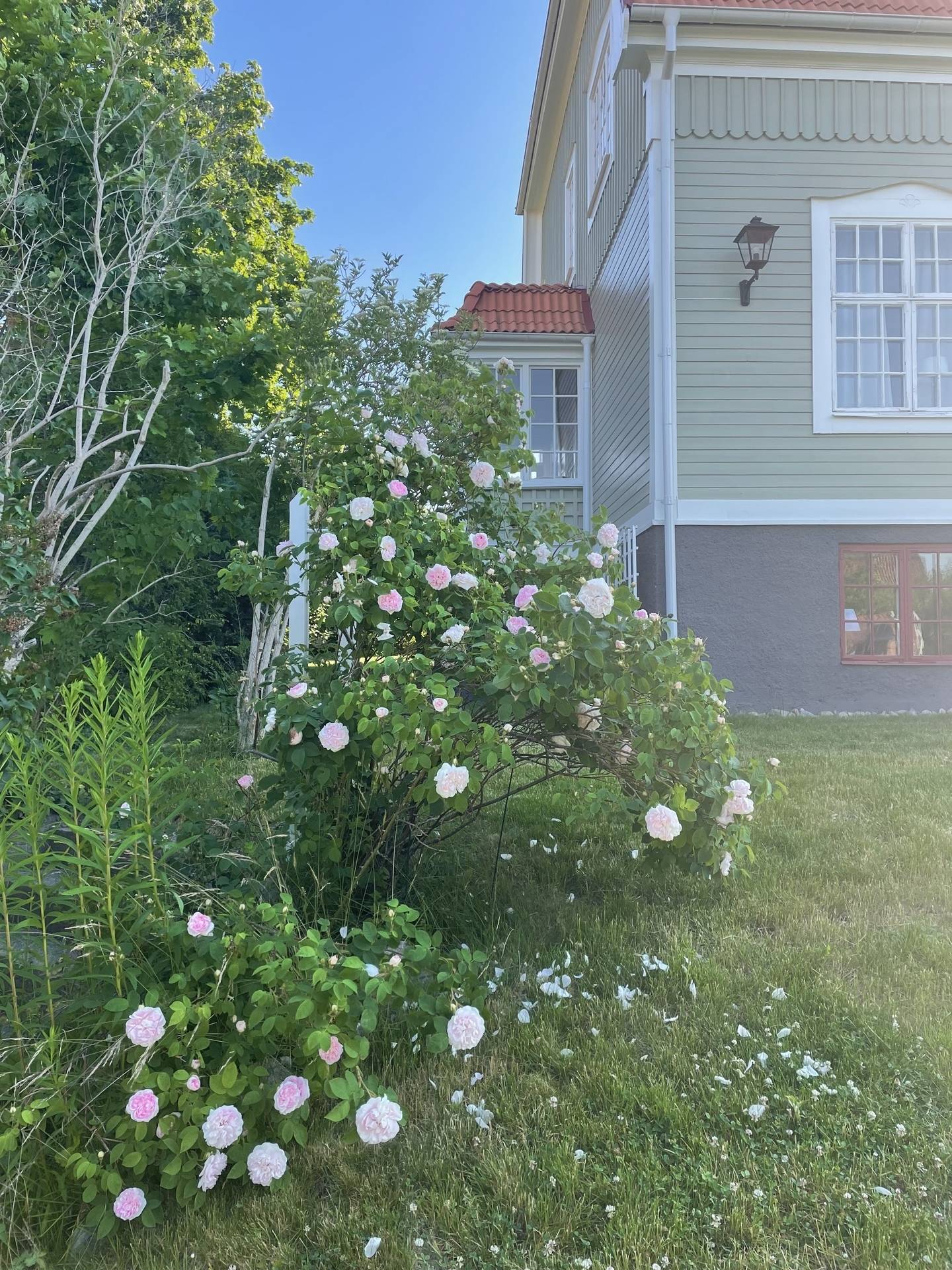 10 rum Villa på Rosenkällavägen 4 Östra Villastaden Nyköpings kommun - bild 66