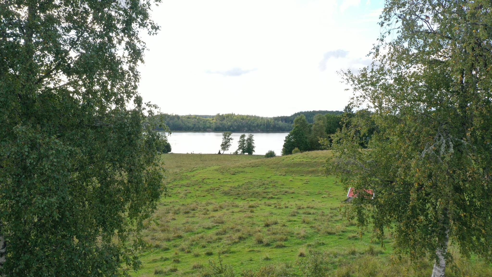 99 m² Gård/skog på Stuveryr 12 Färgelanda kommun - bild 10