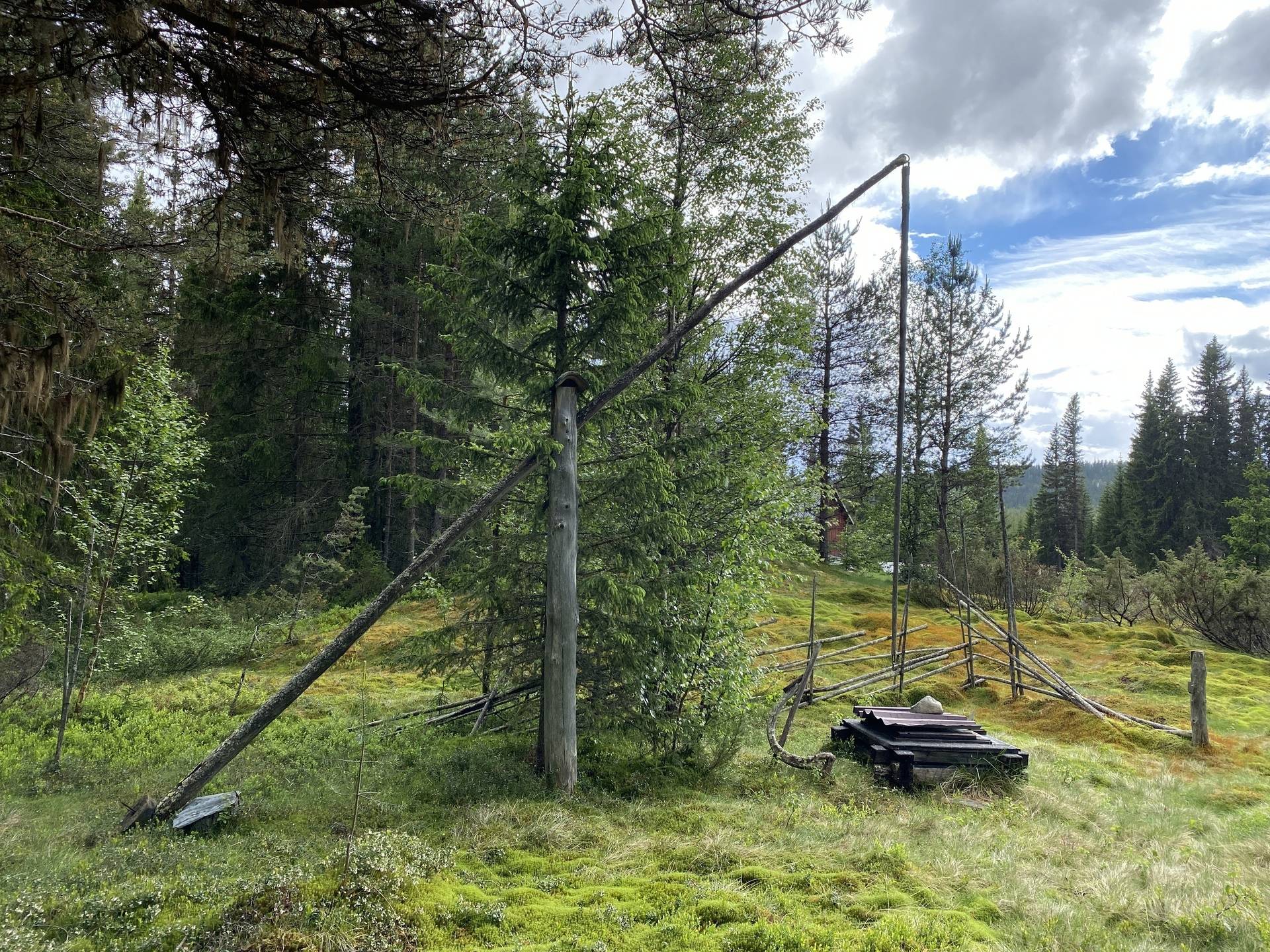 3 rum Gård/skog på Örevallen 8 Örevallen/Strandvallen Älvdalens kommun - bild 40