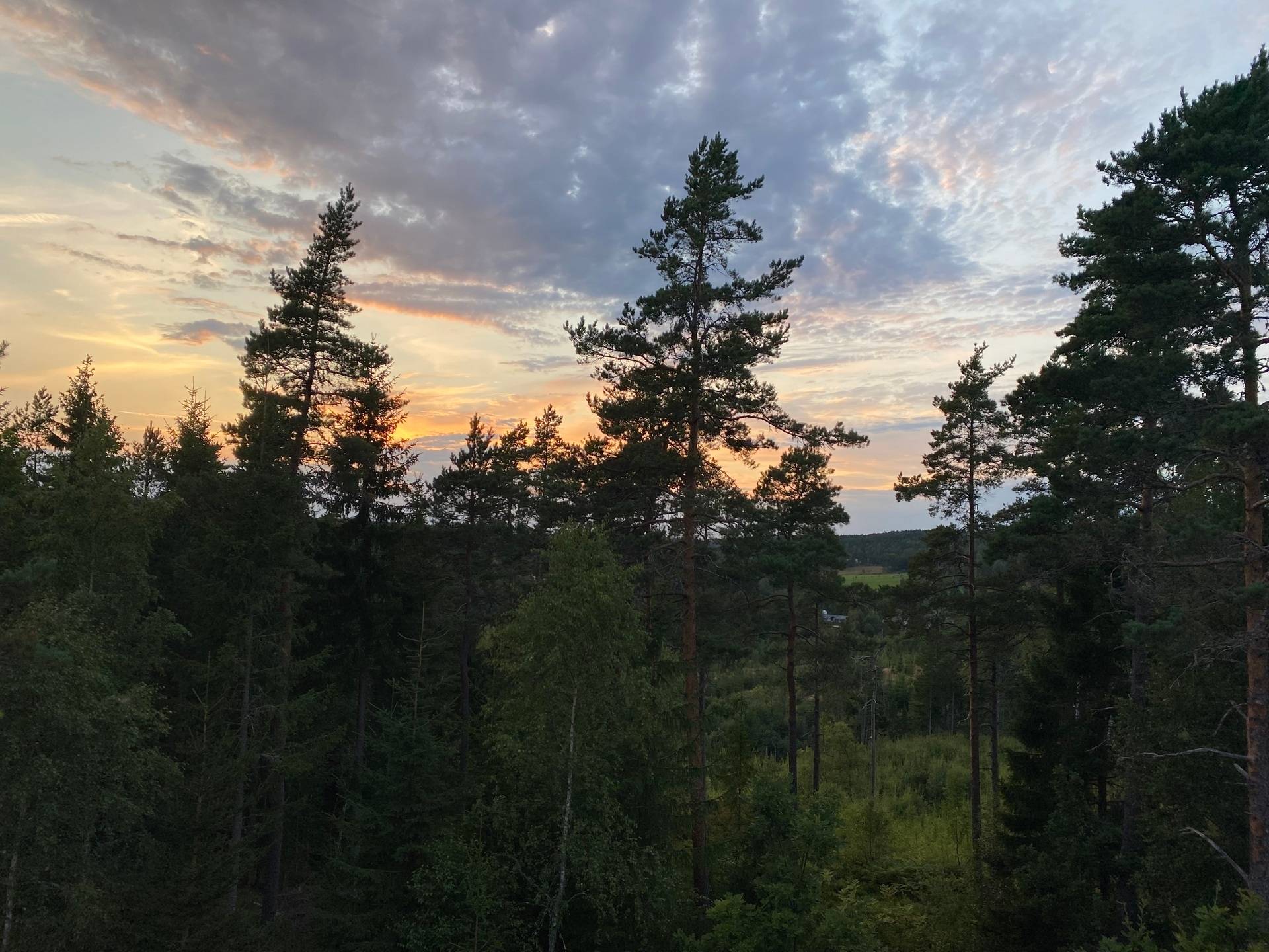 4 rum Villa på Skurvåsvägen 44 Melleruds kommun - bild 44
