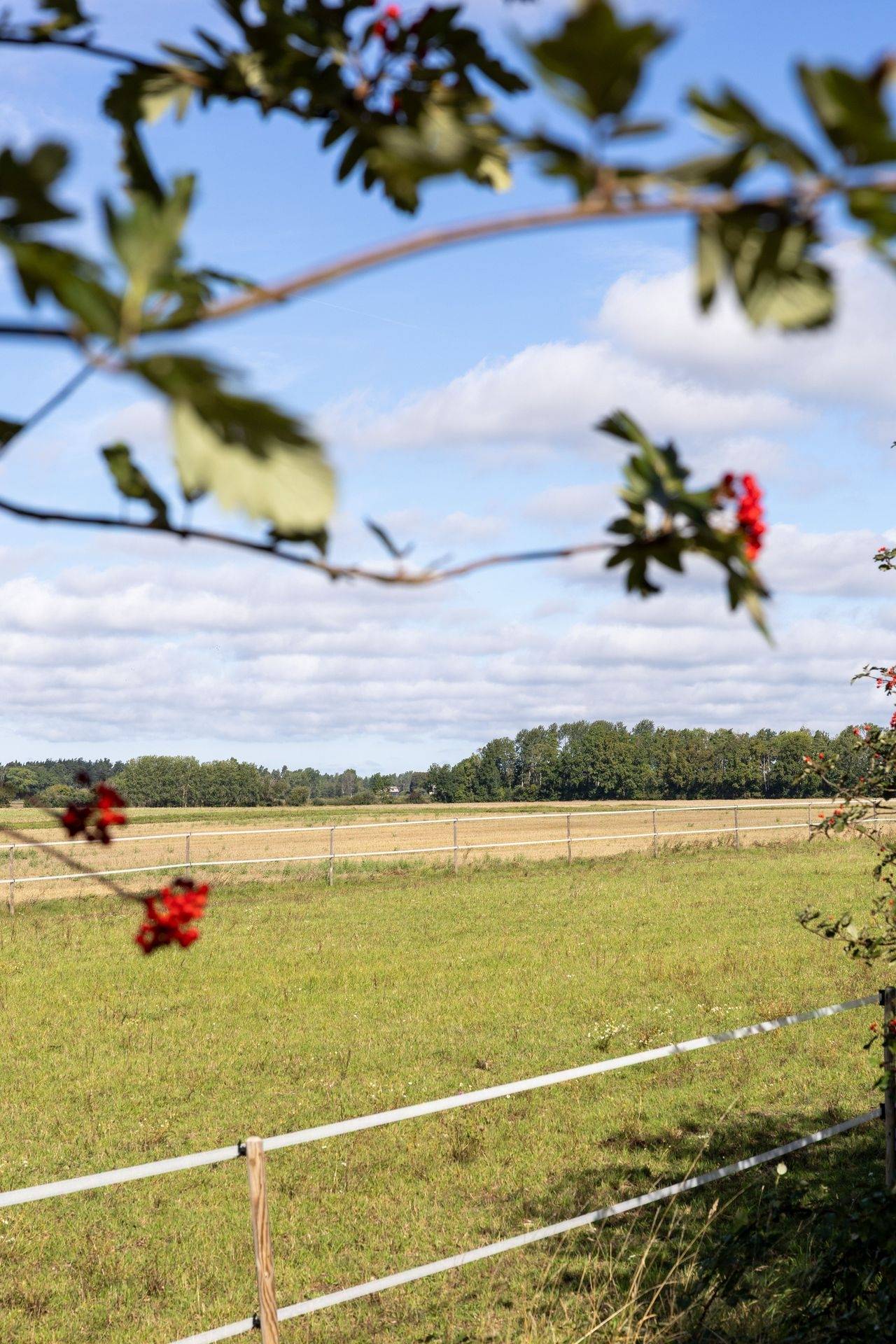 4 rum Villa på Dalhem Nygårds 614 Dalhem Gotlands kommun - bild 83