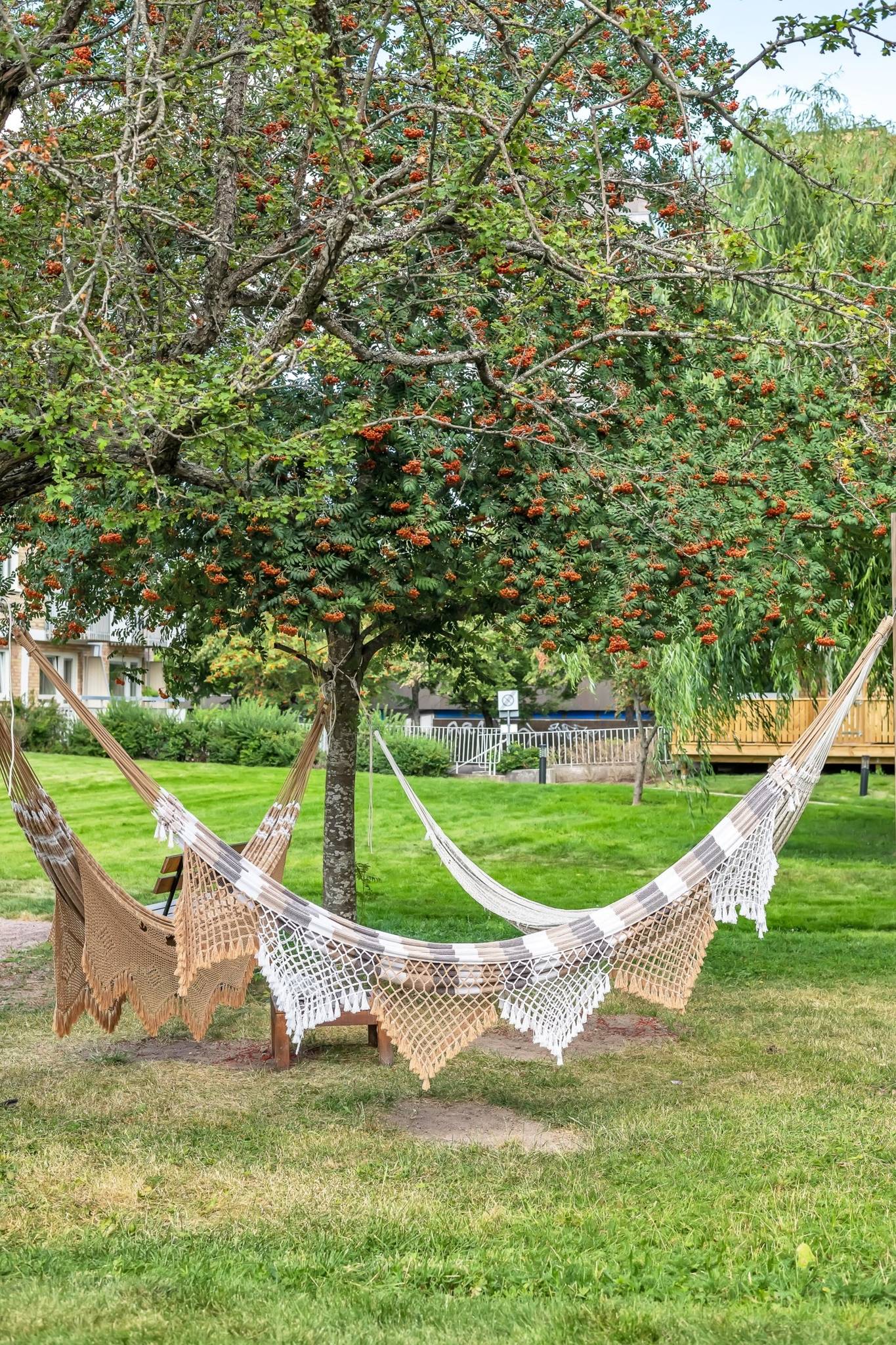 2.5 rum Lägenhet på S:t Olofsgatan 43 B Höganäs Uppsala kommun - bild 30