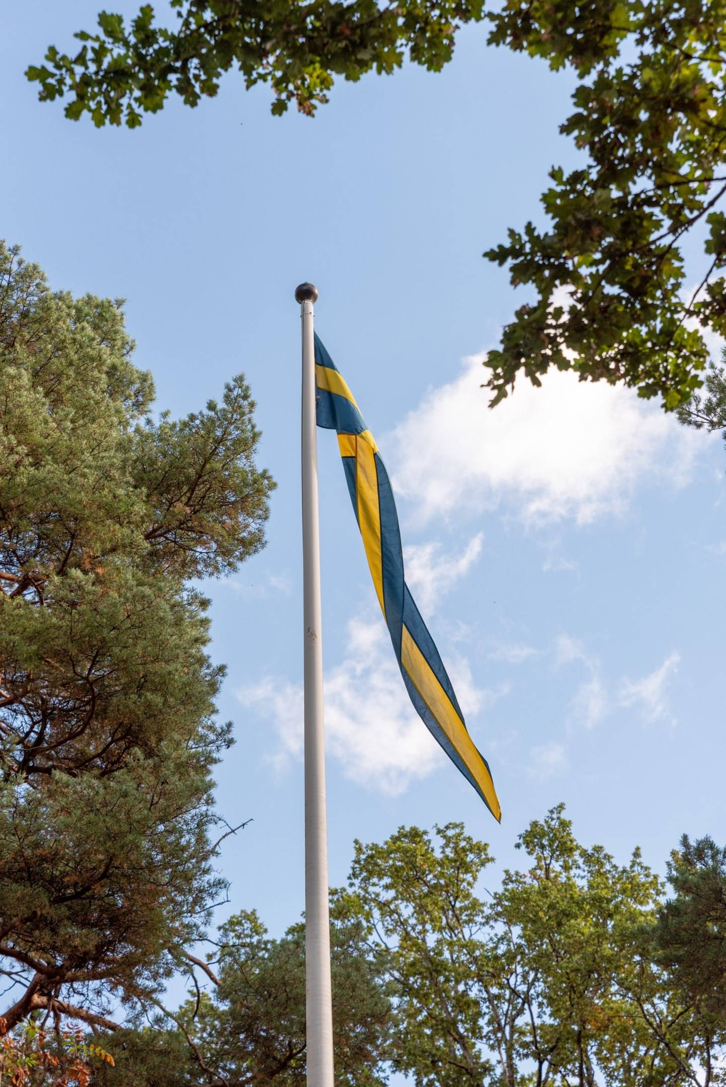 2 rum Lägenhet på Backsippsgatan 17C Gideonsberg Västerås kommun - bild 23