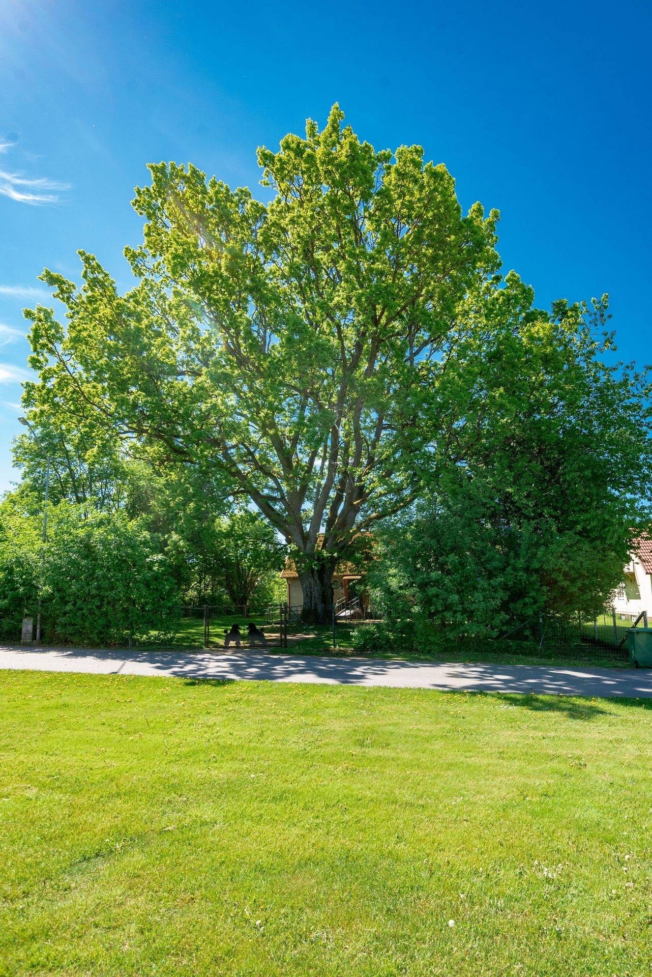 4 rum Villa på Vinkelvägen 5 Gällstad Ulricehamns kommun - bild 9