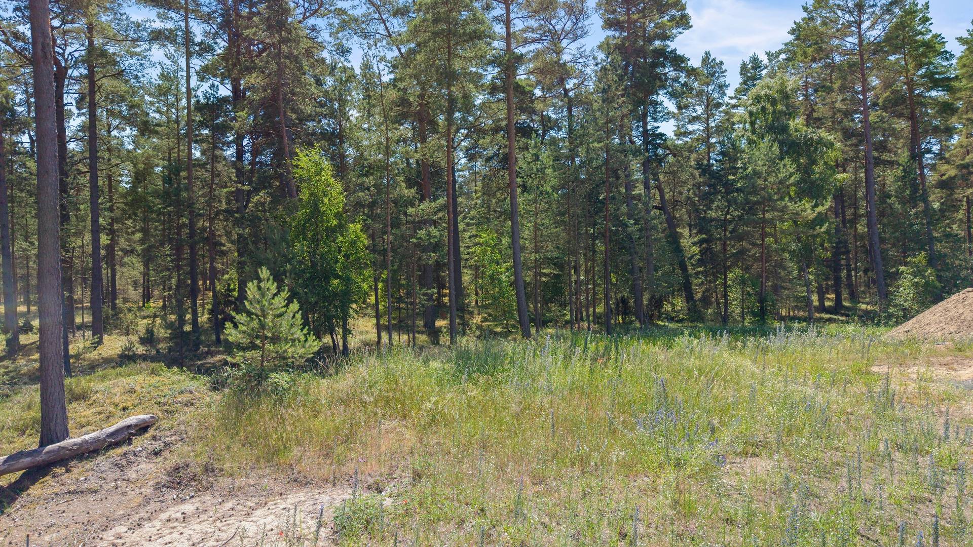 Tomt på Kvittenvägen 17 Äspet, ÅHUS Kristianstads kommun - bild 22
