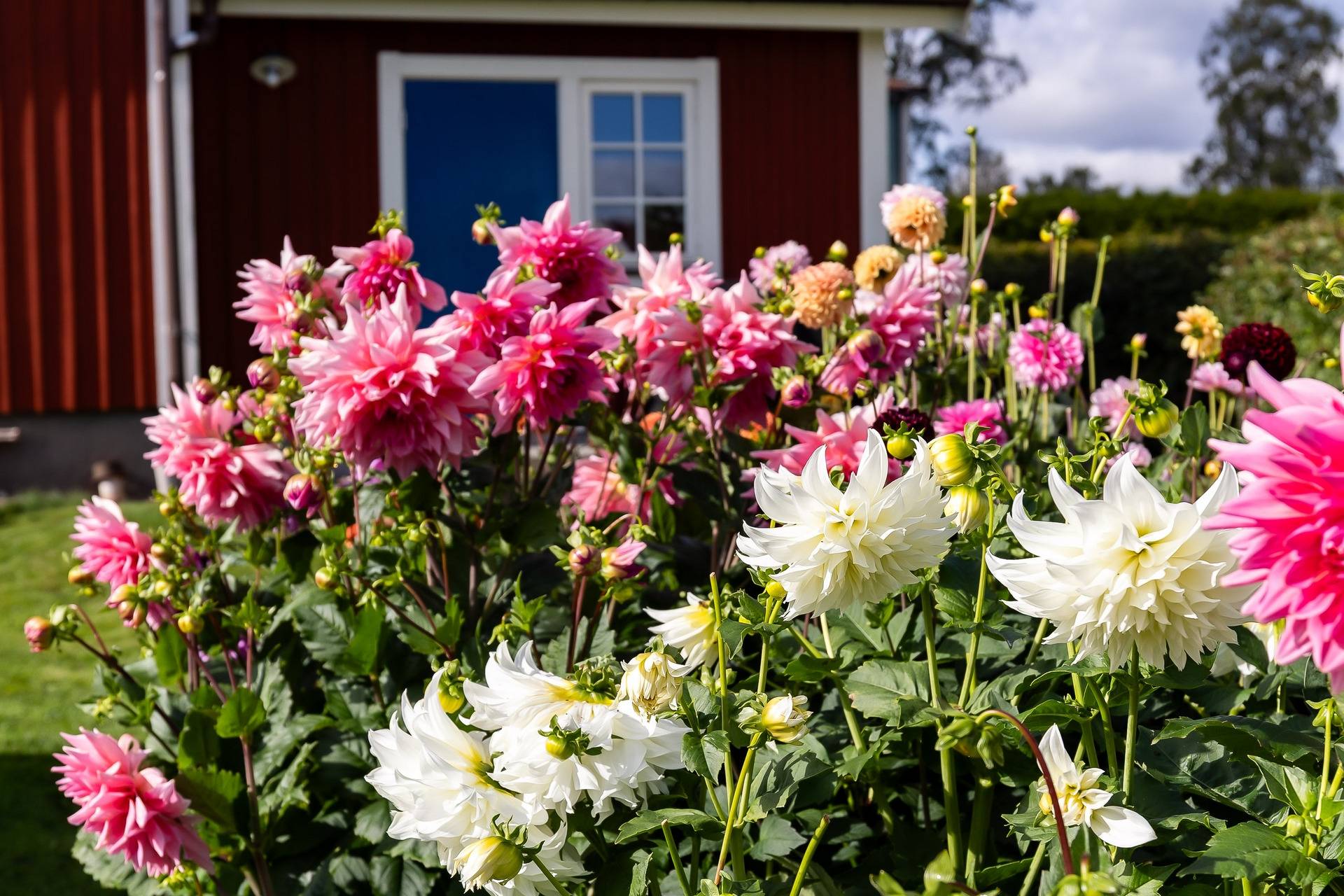 6 rum Villa på Villagatan 16 Nora Nora kommun - bild 67