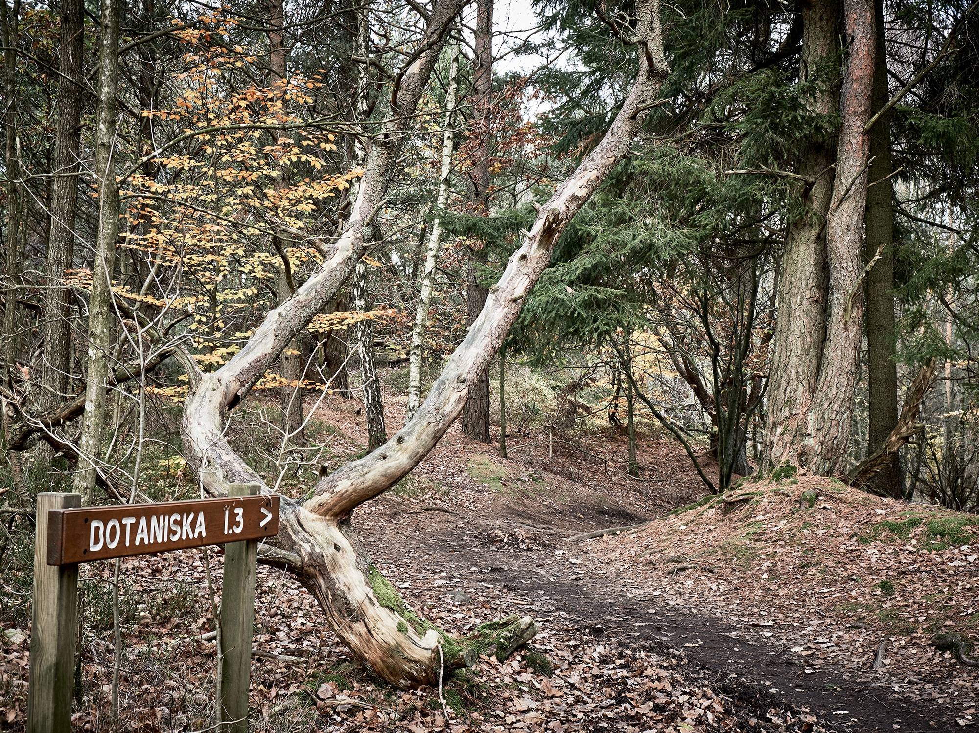 12 rum Villa på Frölundaborgs allé 6 Frölundaborg Göteborgs kommun - bild 69