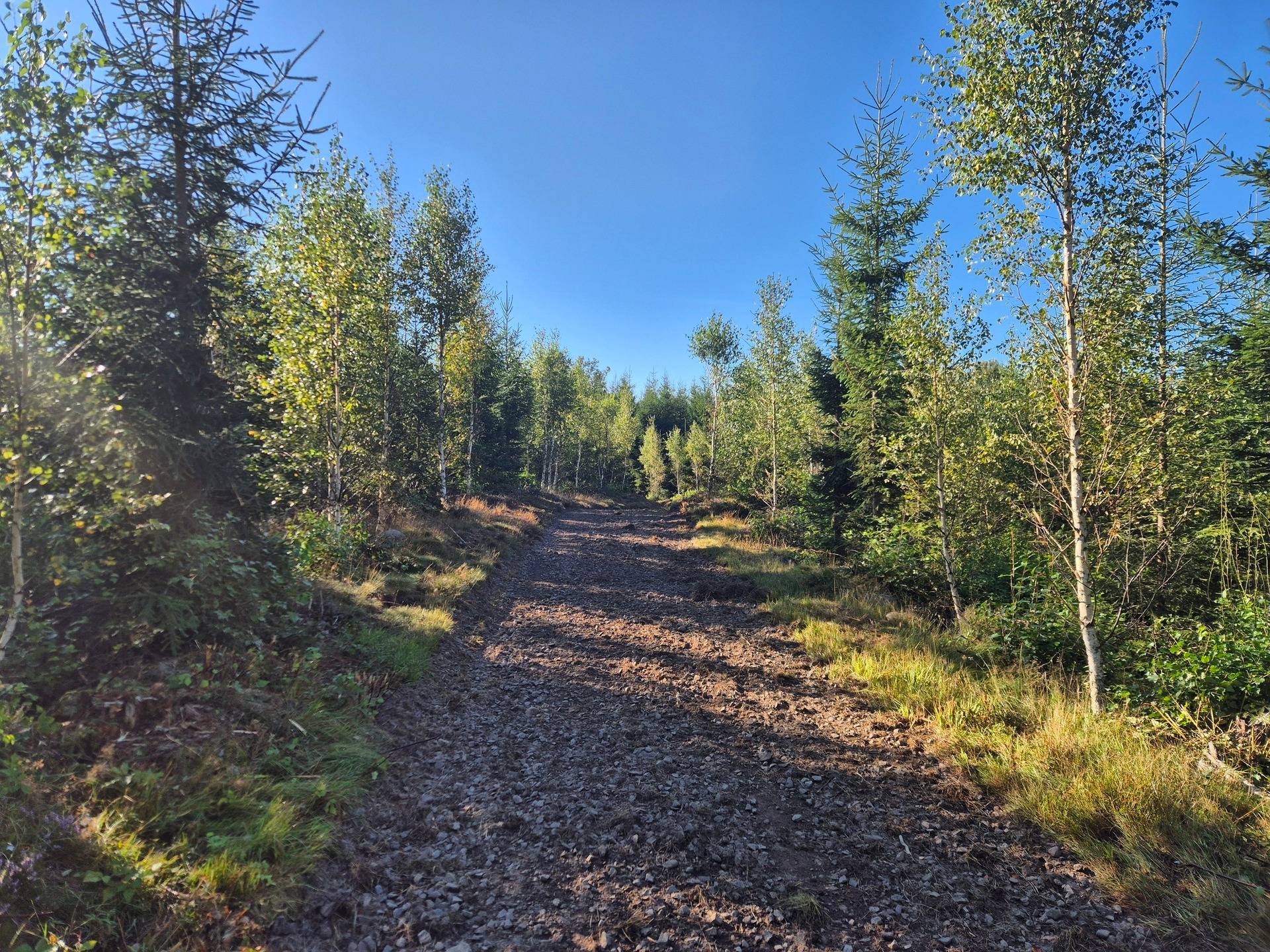 Gård/skog på Riseberga-Kroken 1:3 Klippans kommun - bild 11