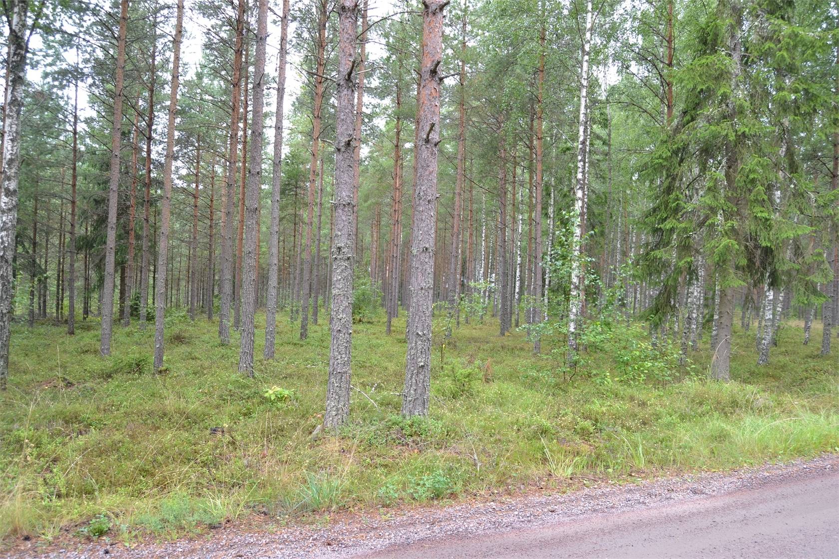 Gård/skog på Rud område 2, 6 och 7 Töreboda Landsbygd Töreboda kommun - bild 8