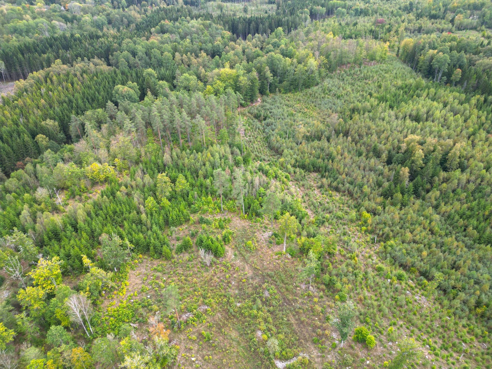 6 rum Gård/skog på Hökamåla 6 Tingsryds kommun - bild 10