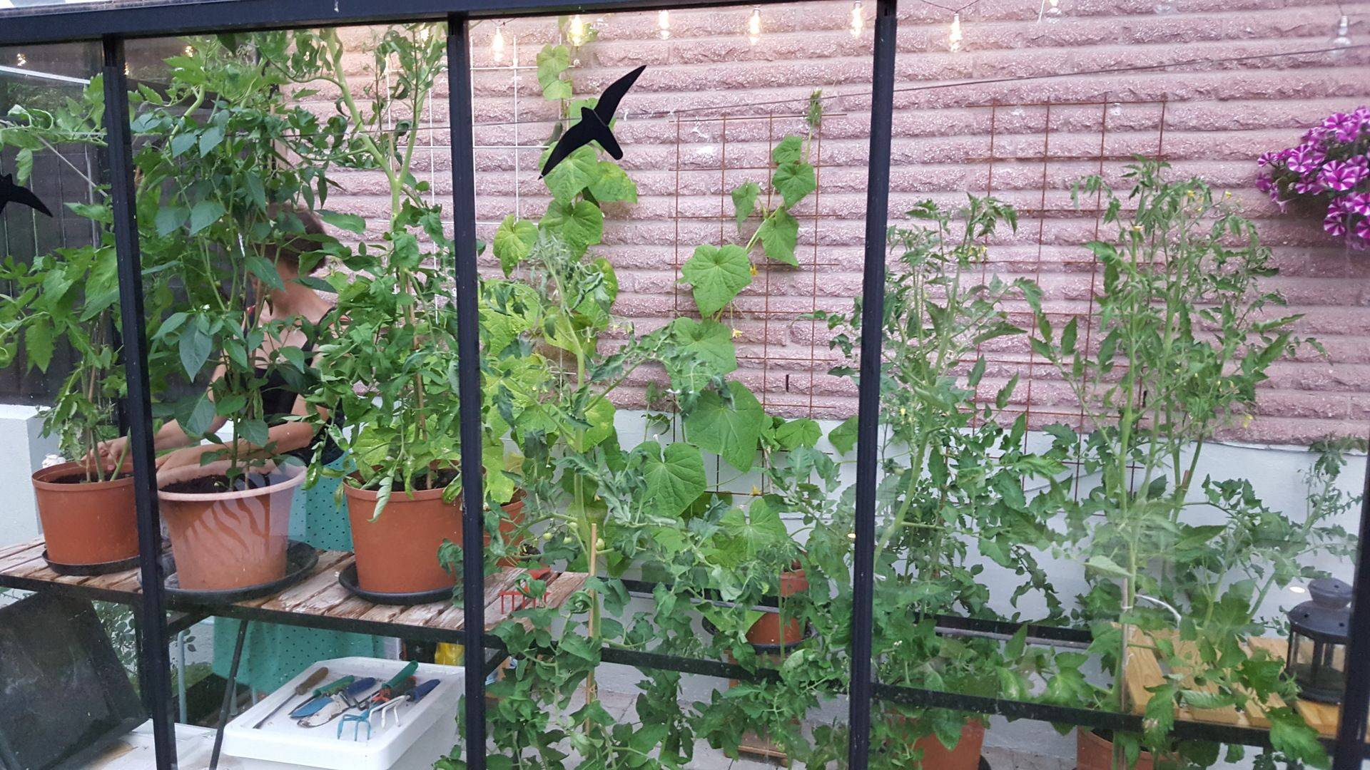 5 rum Villa på Södra Ljungvägen 4 Kävlinge kommun - bild 51