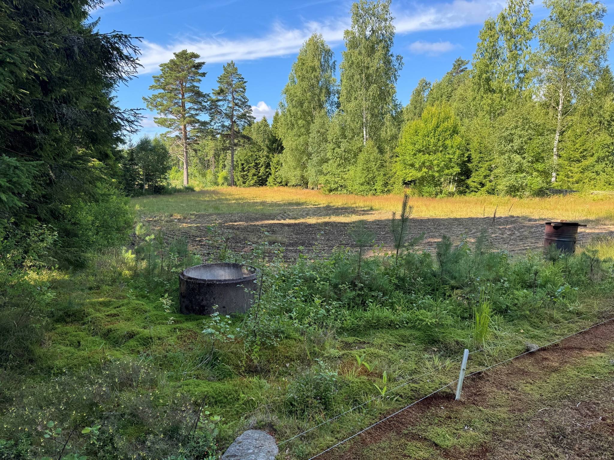 Gård/skog på Björkfallet 250 Skagern/Lämås Degerfors kommun - bild 10