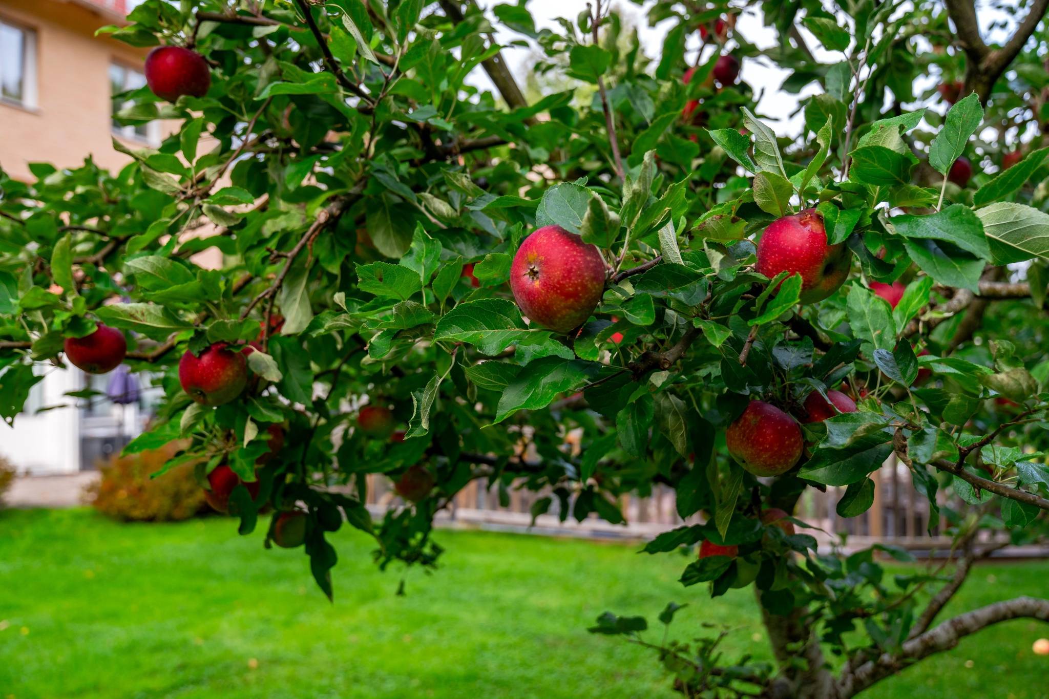 3 rum Lägenhet på Dag Hammarskjölds väg 246A Sunnersta Uppsala kommun - bild 30
