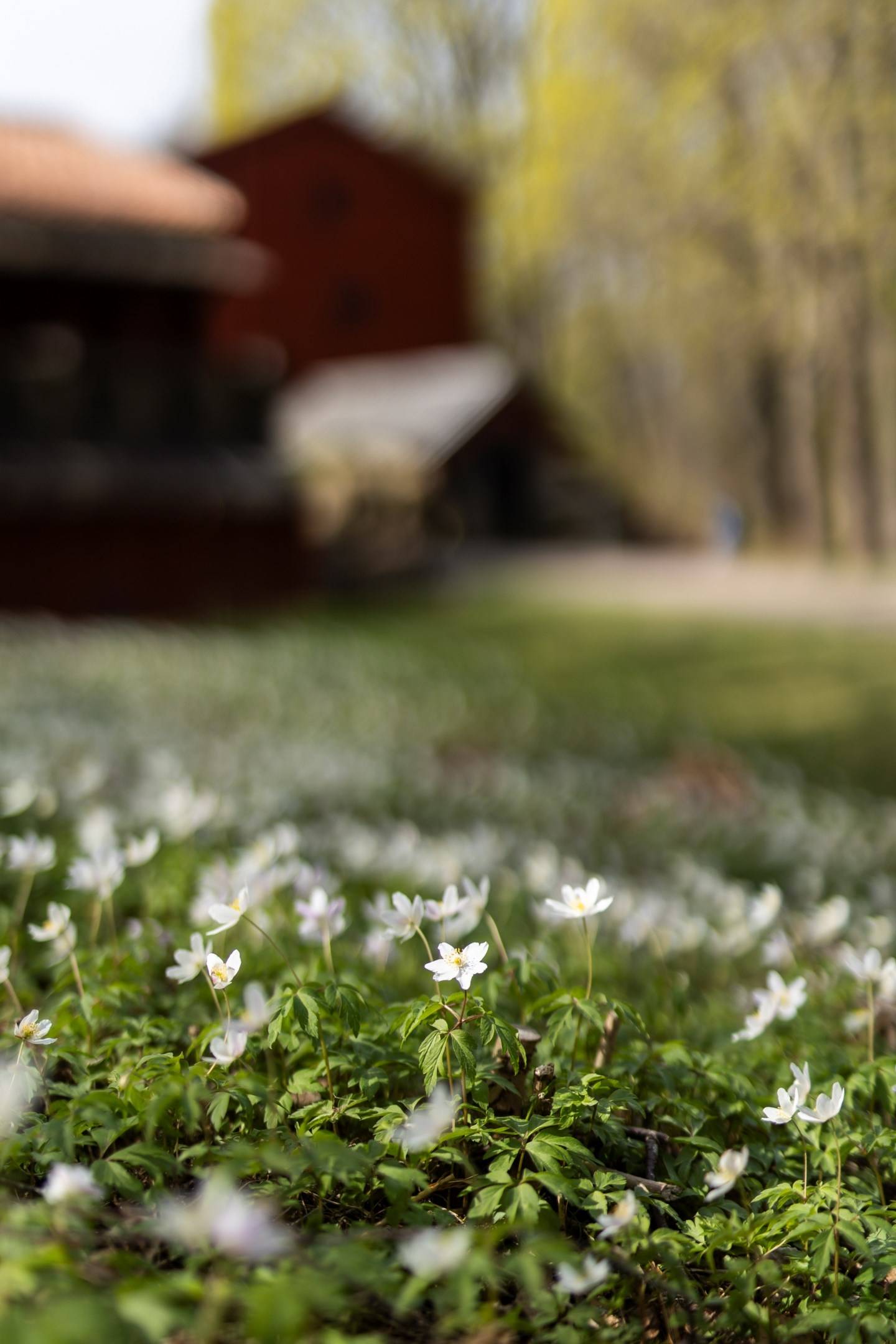 4 rum Villa på Apelvägen 2 Kvarnbyn Kristinehamns kommun - bild 55