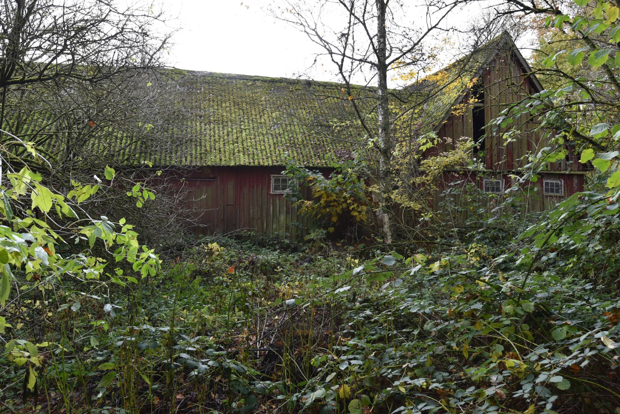 4 rum Gård/skog på Ulfstorp 1 Eslövs kommun - bild 35