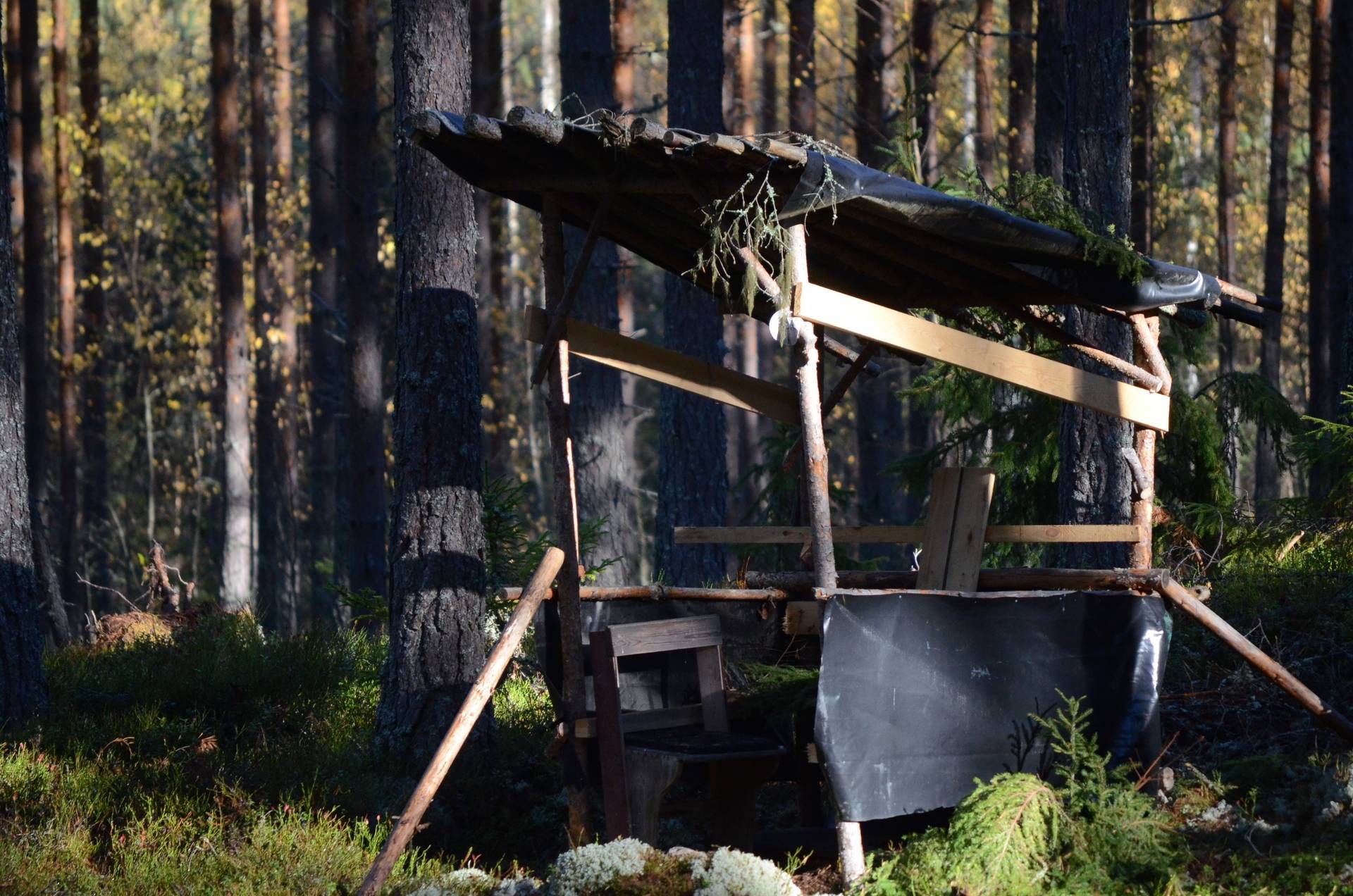 Gård med skogsbruk på Utanmyra Falu kommun - bild 17