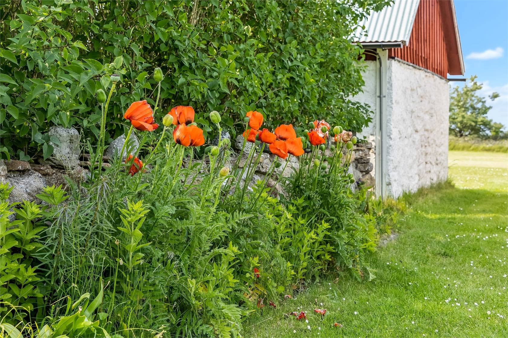 4 rum Villa på Långörevägen 39 Bredsättra Borgholms kommun - bild 5