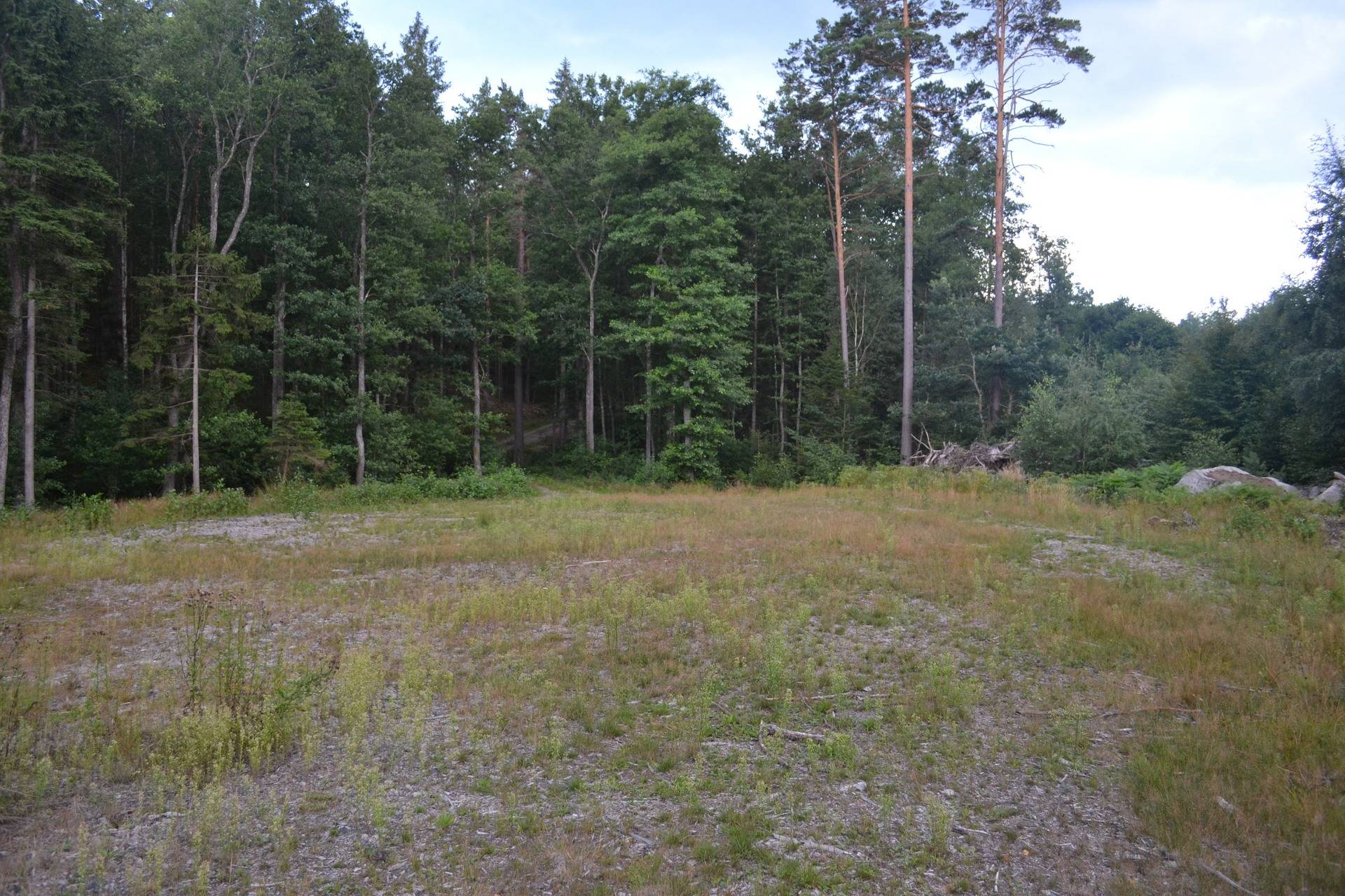 Gård/skog på Gränum Gränum Olofströms kommun - bild 20