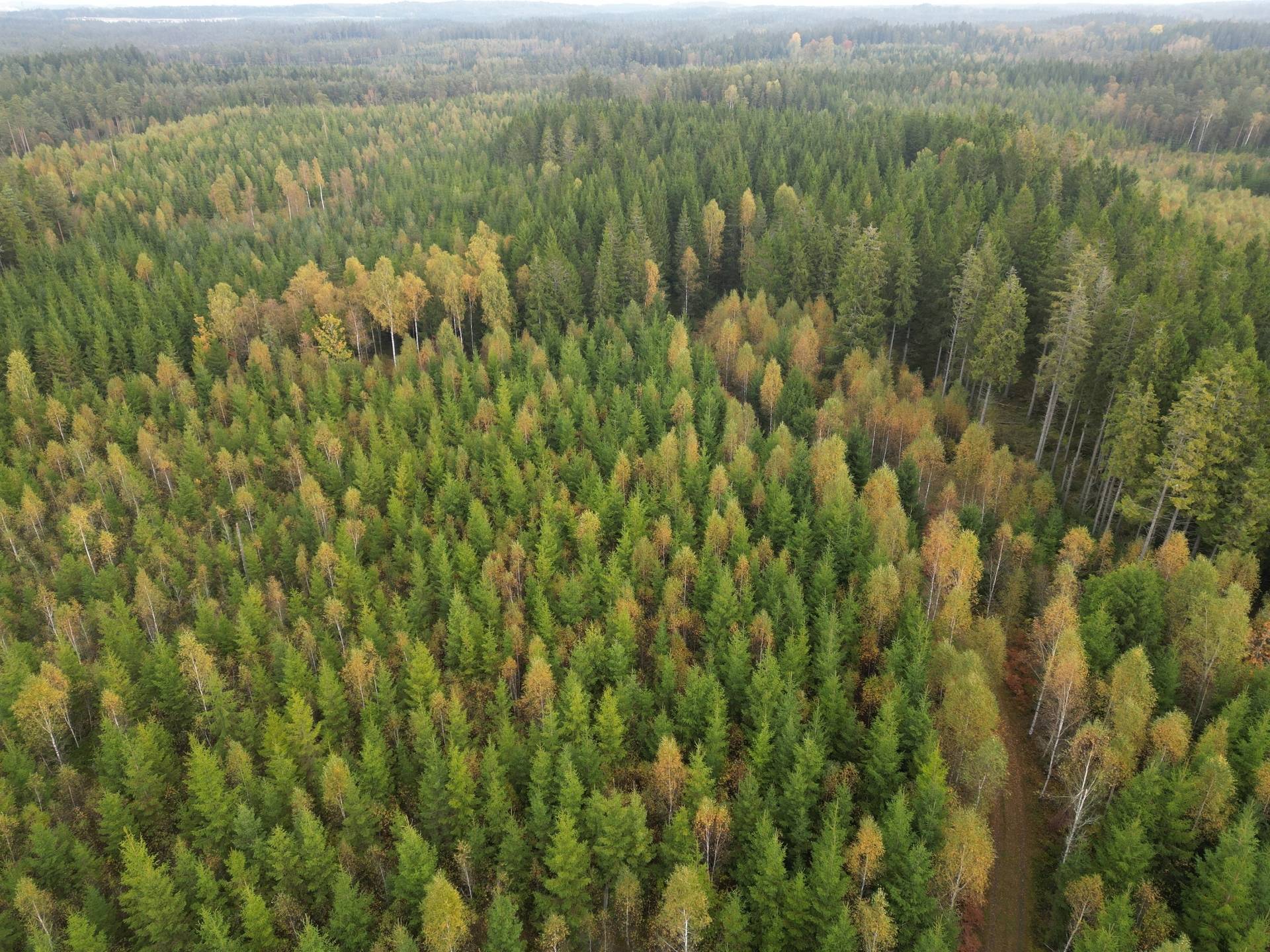 Gård med jordbruk på Yttrebo 107 Hylte kommun - bild 10