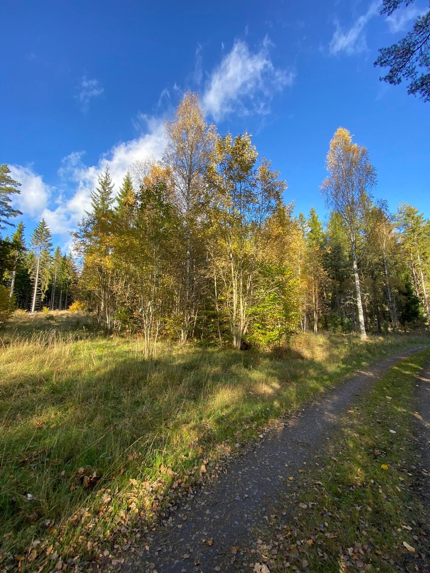 Tomt på Ubbyvägen 55 Norrtälje kommun - bild 8