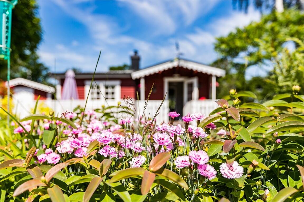3 rum Fritidshus på Klimpvägen 4 LISTERBY Ronneby kommun - bild 20