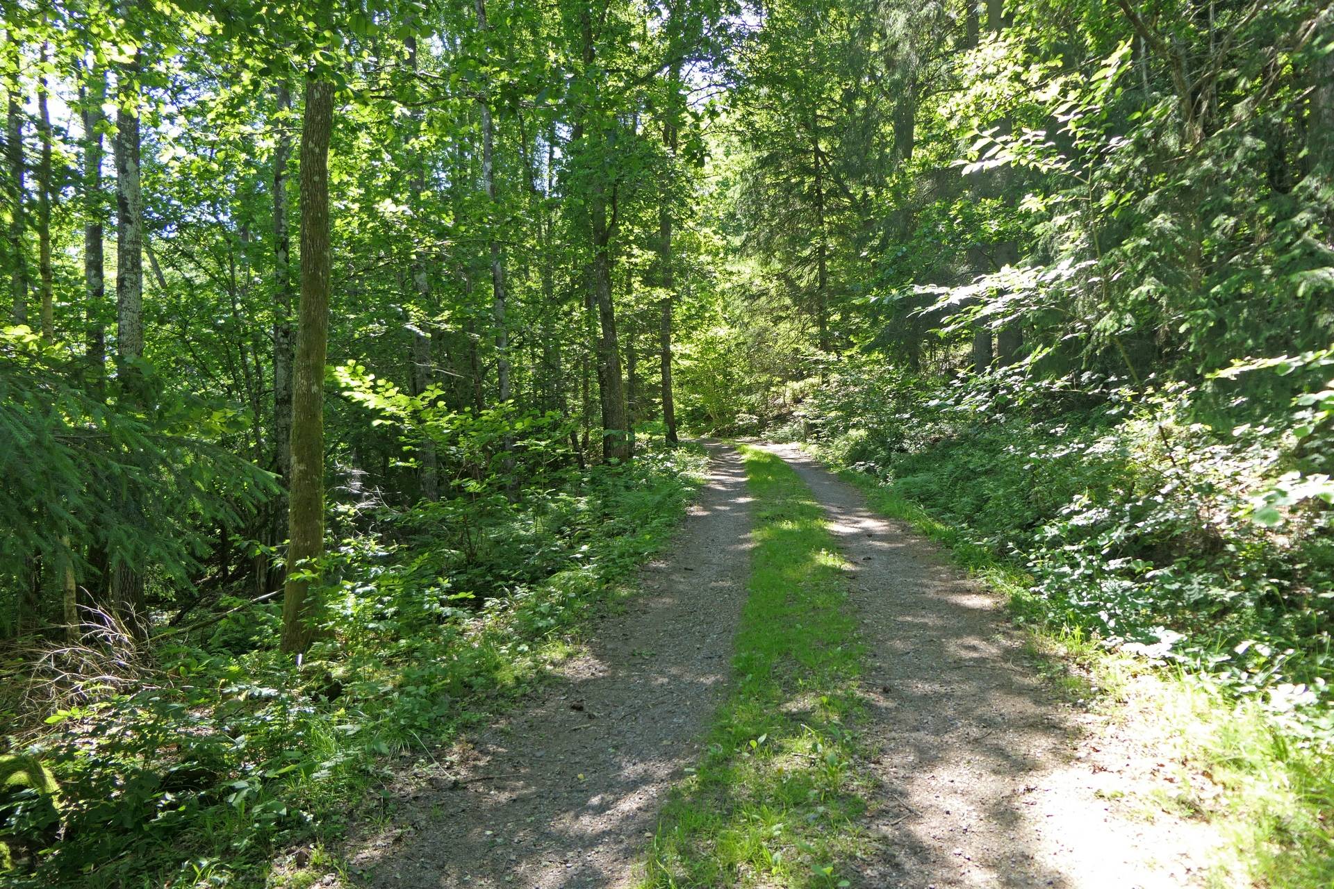 Gård/skog på Skvalpan Göteborgs kommun - bild 3