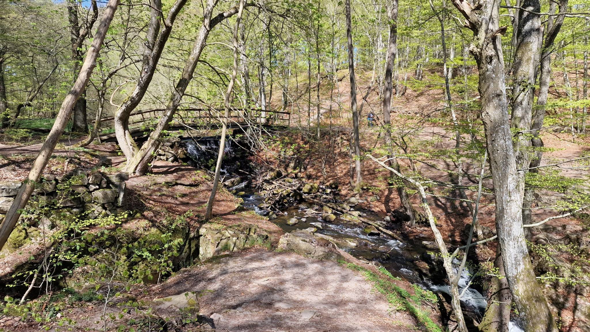 6 rum Vinterbonat fritidshus på Kyllingarödsvägen 113 Kristianstads kommun - bild 86