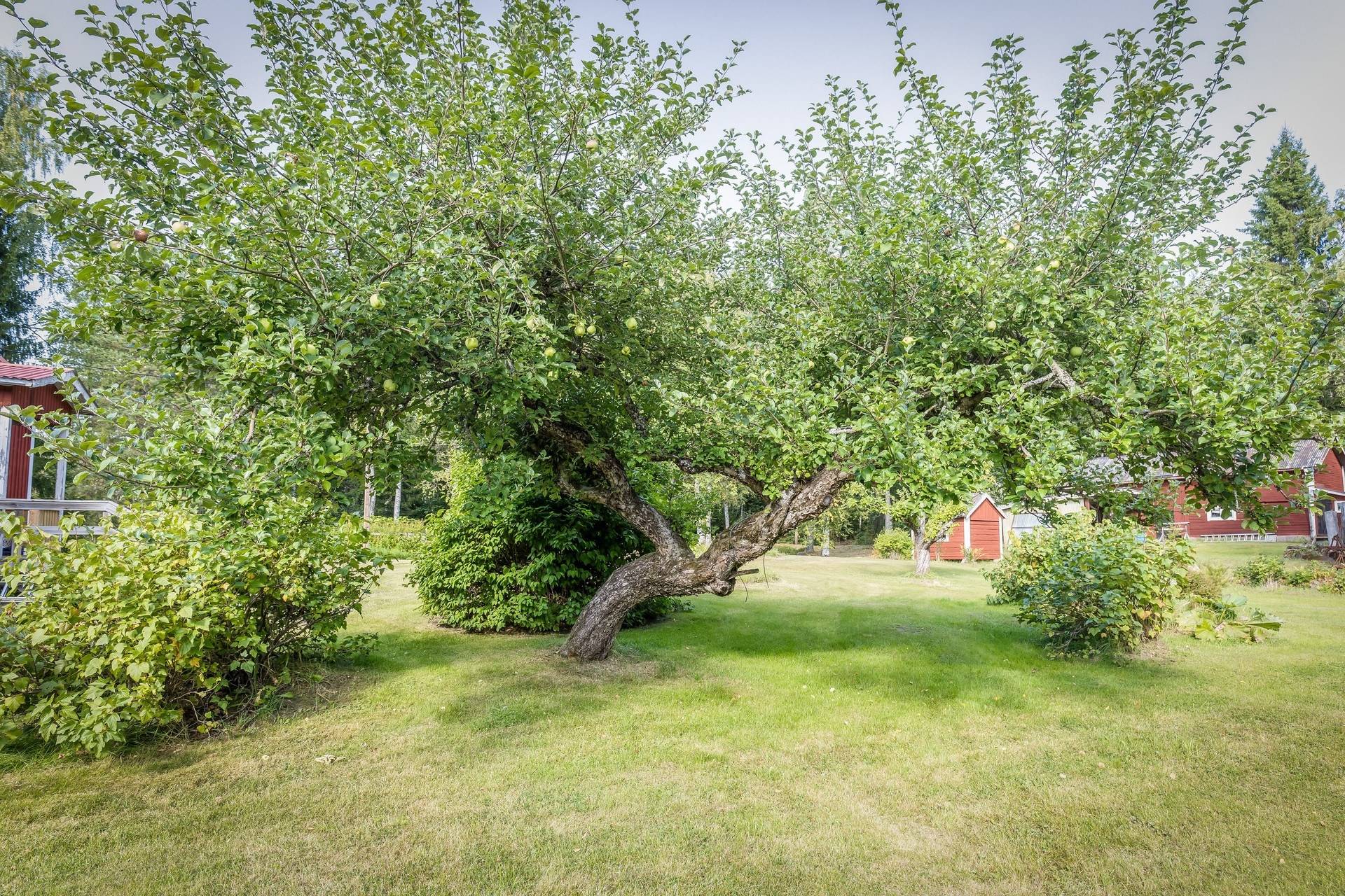 4 rum Villa på Faluvägen 274 Gräsberg Ludvika kommun - bild 39