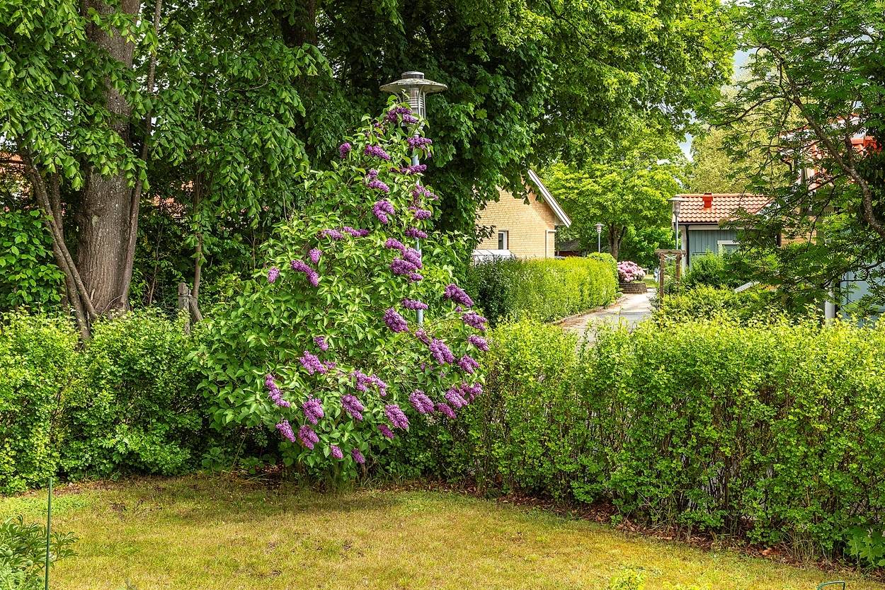 2 rum Radhus på Rolfs väg 2 Gårdstånga Eslövs kommun - bild 17