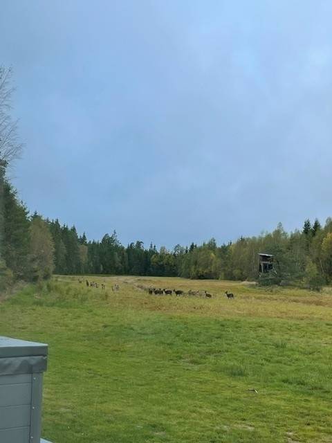 5 rum Gård/skog på Åsaka Svalehult 10 Trollhättans kommun - bild 40
