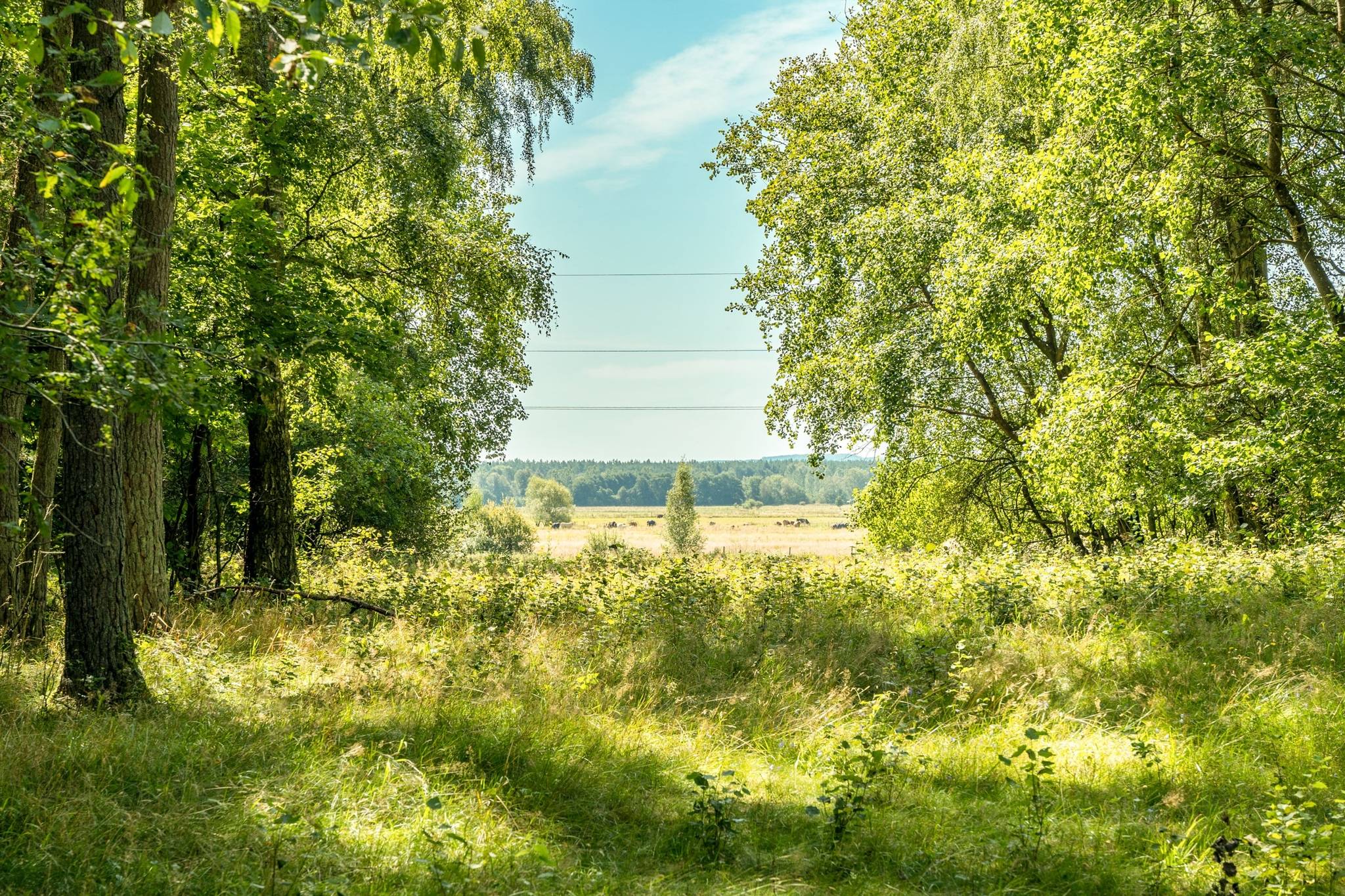 3 rum Villa på Klostersågen 324 Lunds kommun - bild 38