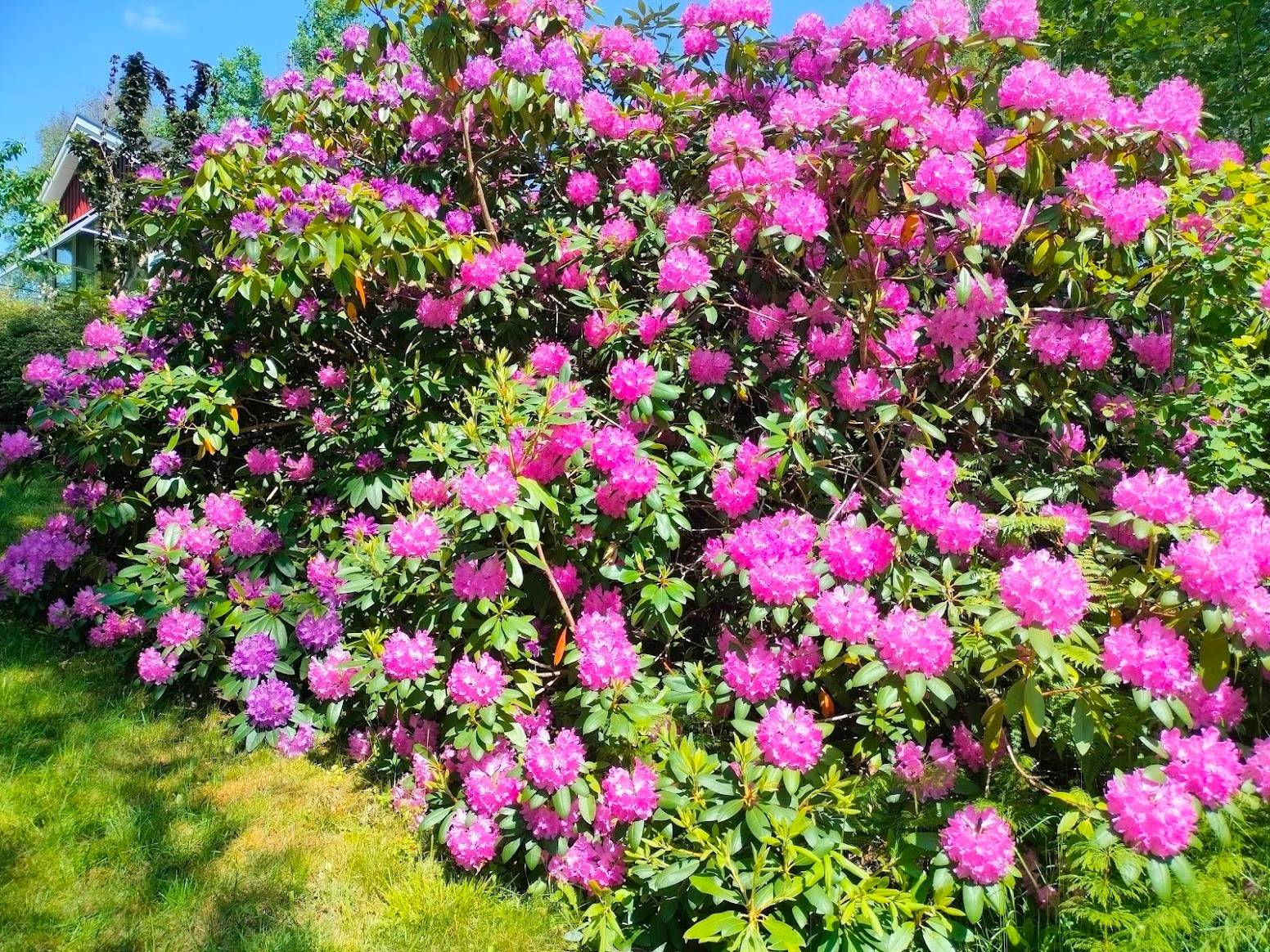 5 rum Villa på Ravinvägen 16 Västerlanda Lilla Edets kommun - bild 50