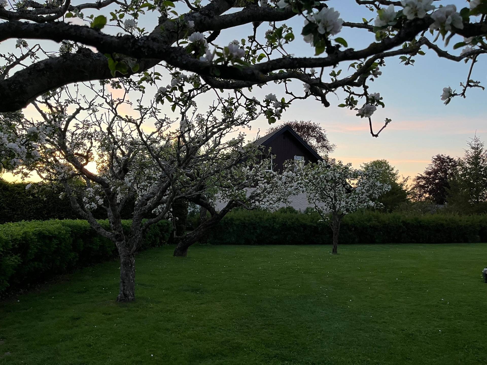 6 rum Villa på Källarbacksvägen 6 Råda Lidköpings kommun - bild 69
