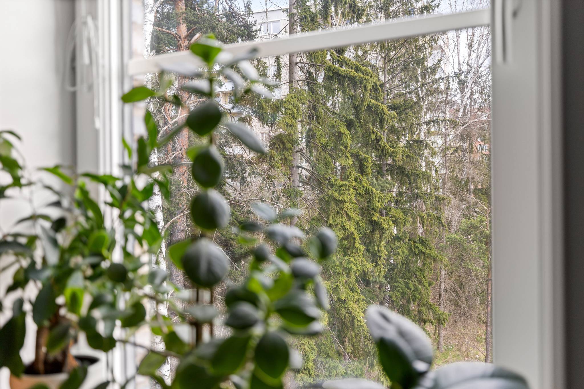 3 rum Lägenhet på Tidvattengatan 19 Tyresö Centrum Tyresö kommun - bild 18