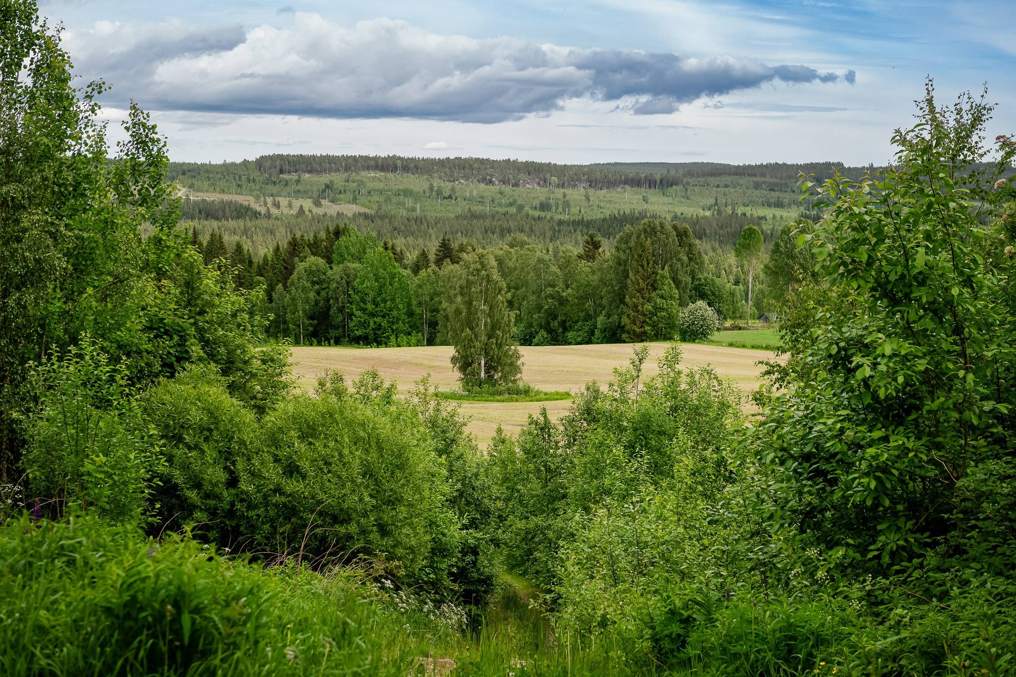 64 m² Villa på Balfors 63 Bjurholms kommun - bild 68