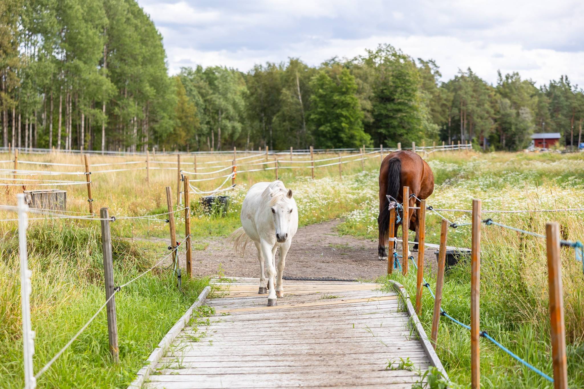 8 rum Gård med jordbruk på Björnäs 413 Björnäs Östhammars kommun - bild 72
