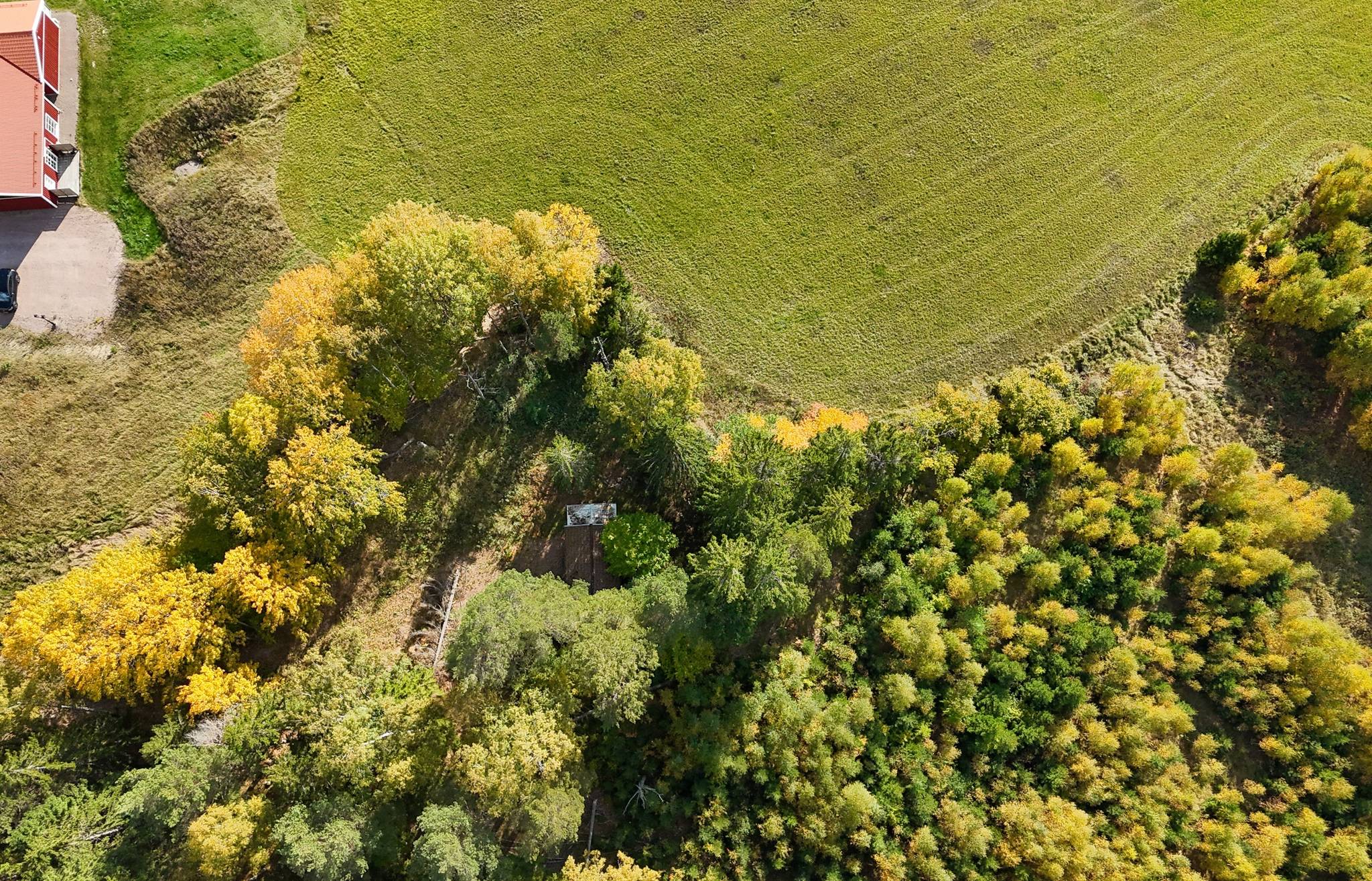 3 rum Gård/skog på Bogsta Hässelby 2 Tystberga Nyköpings kommun - bild 53