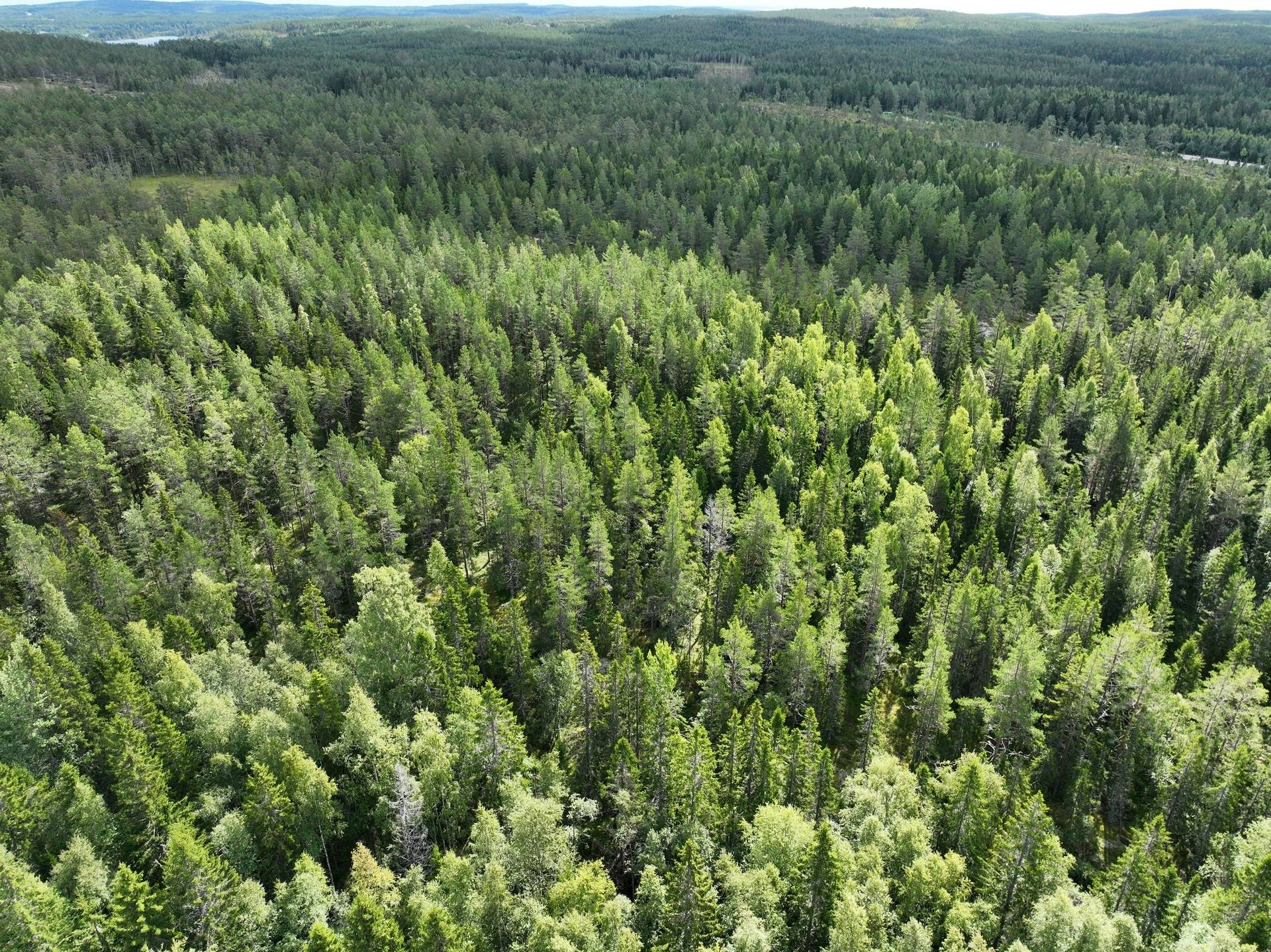 Söråker, Timrå kommun