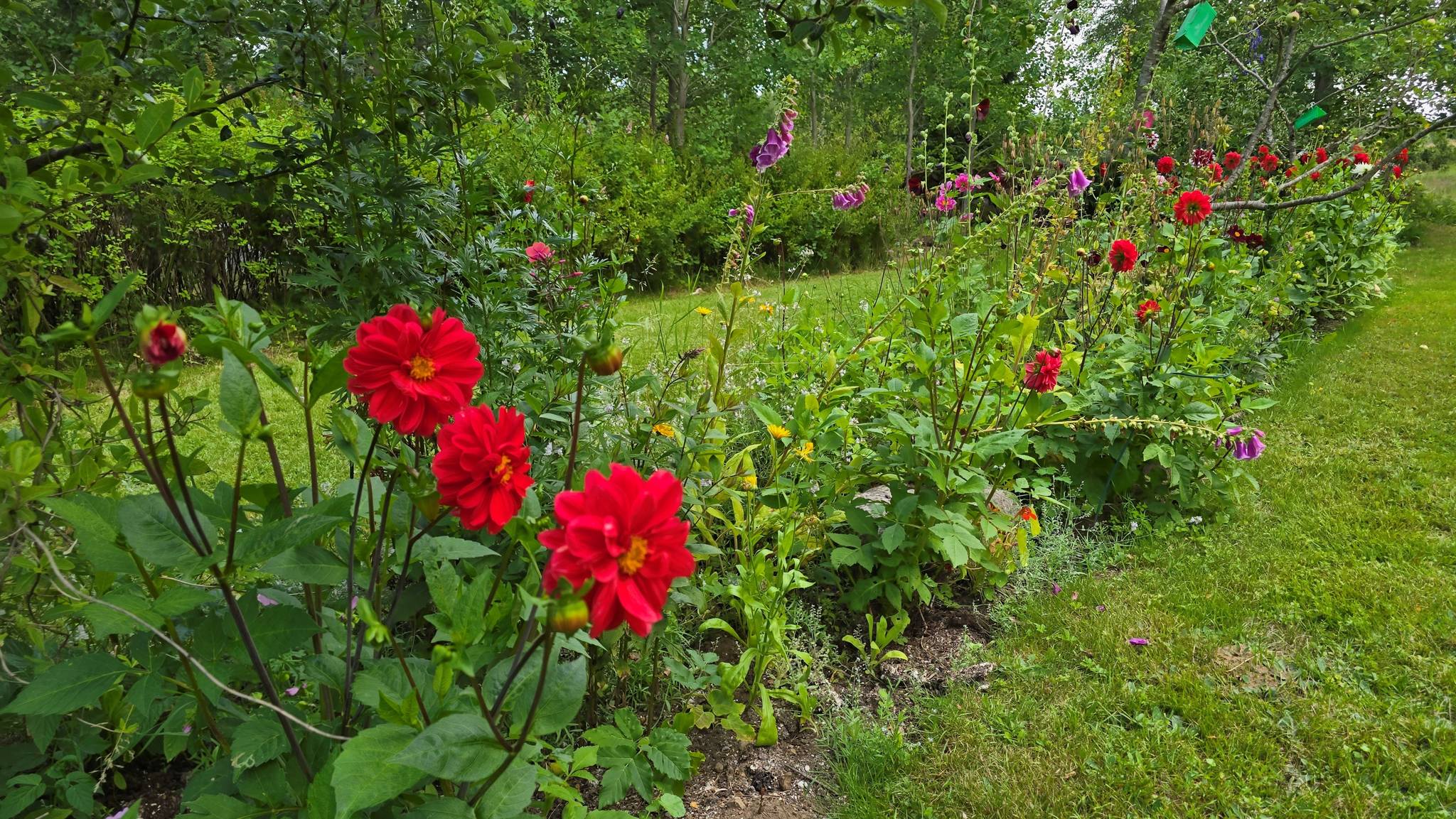 4 rum Fritidshus på Väderlanda LILLEGÅRD 1 Växjö kommun - bild 16