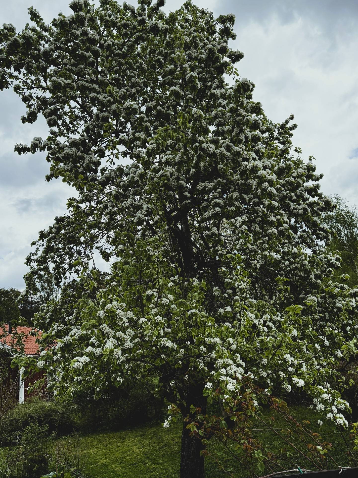4 rum Villa på Roxmovägen 6 Katrineholms kommun - bild 30