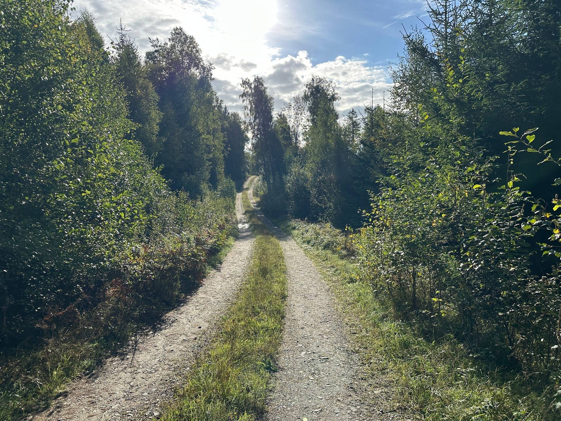 Gård med skogsbruk på MARK ANABÄCKSHULT 2:14 Anabäckshult Marks kommun - bild 28