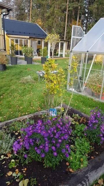 4 rum Villa på Baltak Eriksdal Baltak Tidaholms kommun - bild 40