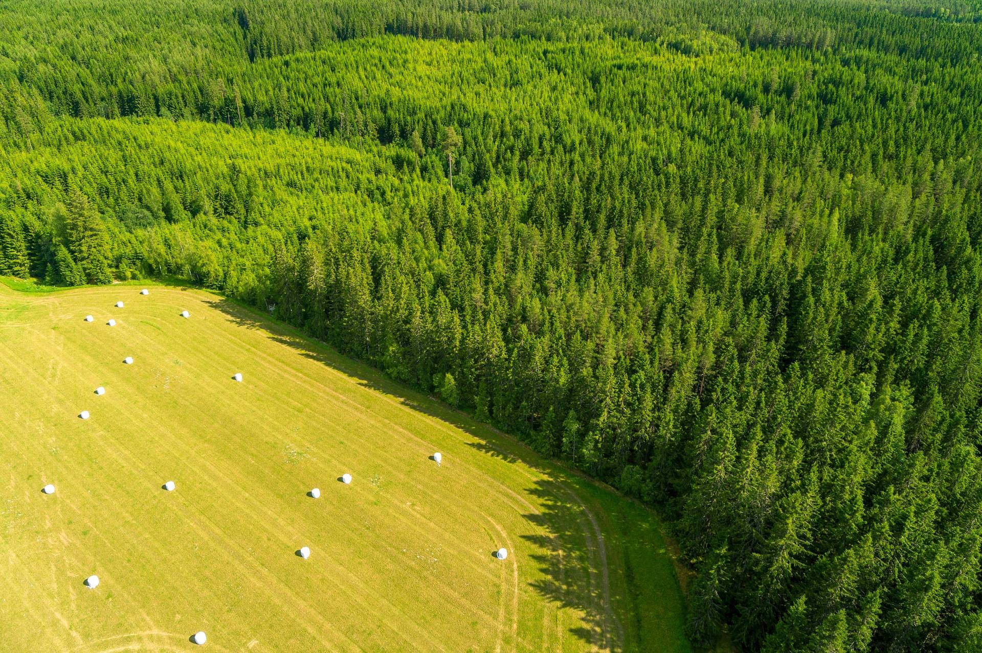 Gård med skogsbruk på Skogsinnehav i Karlskoga, 182 ha Karlskoga kommun - bild 22