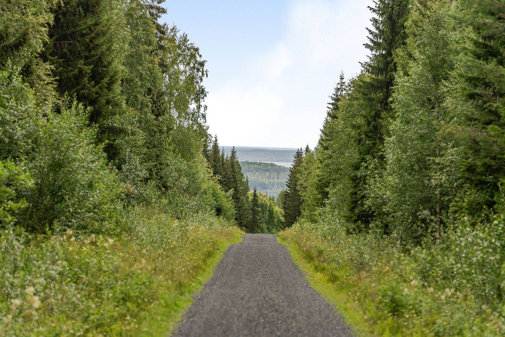 Gård med jordbruk på Högenvägen 29 Hallen Åre kommun - bild 6