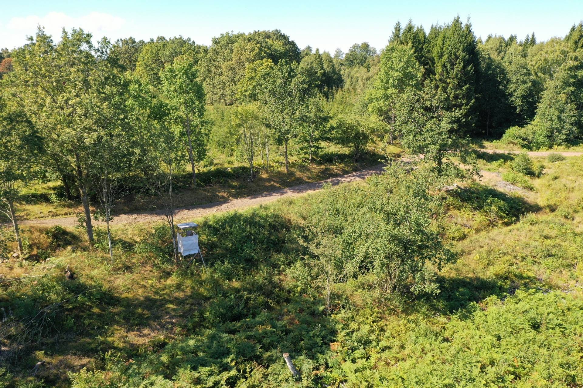 Gård/skog på Riseberga-Kroken 1:3 Klippans kommun - bild 9