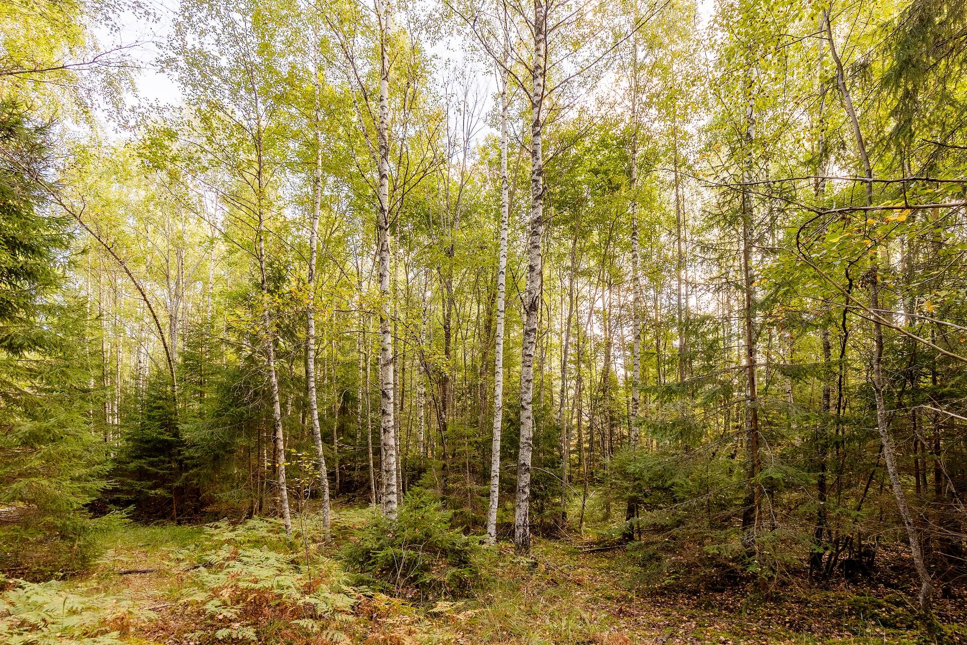 190 m² Gård med jordbruk på Djupviksängen Askersunds kommun - bild 26