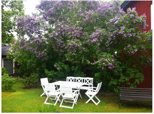 3 rum Villa på Sturegatan 114 Falu kommun - bild 8