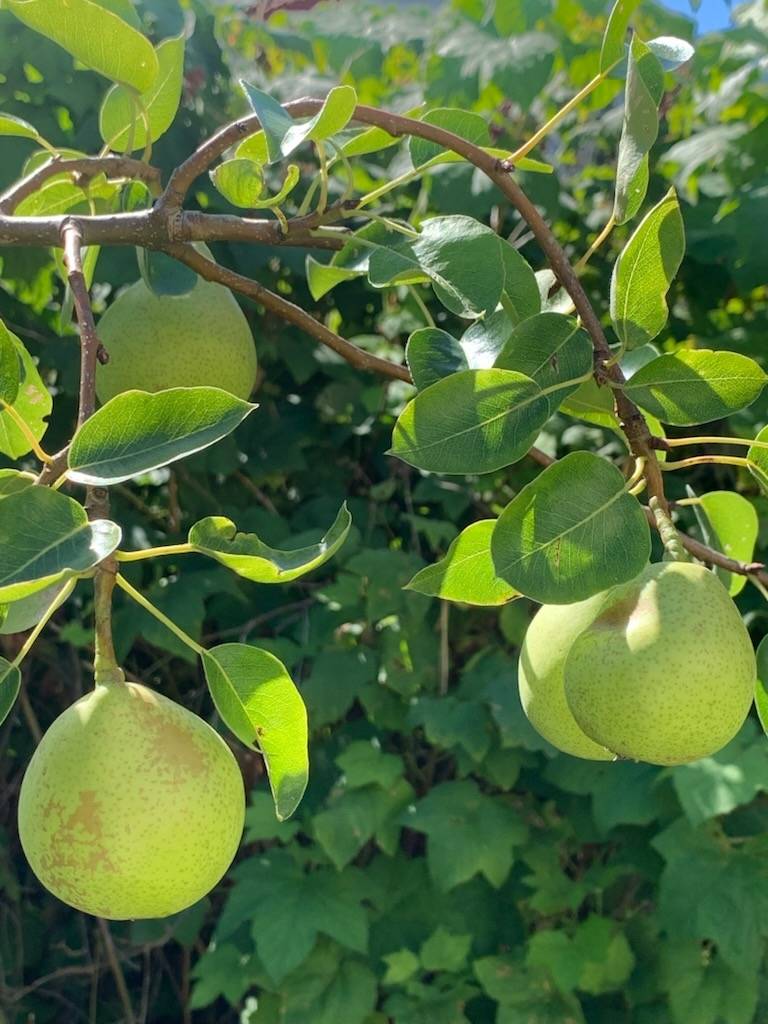 8 rum Villa på Verkstadsvägen 137 Motala Verkstadsområdet Motala kommun - bild 85