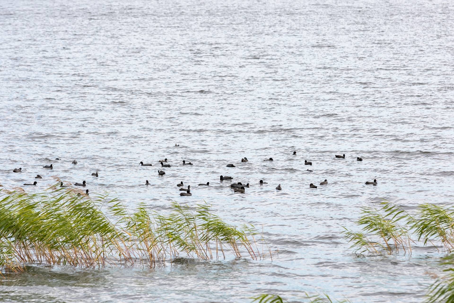3 rum Vinterbonat fritidshus på Kyrkebyn Sjövillan 1 Grums kommun - bild 50
